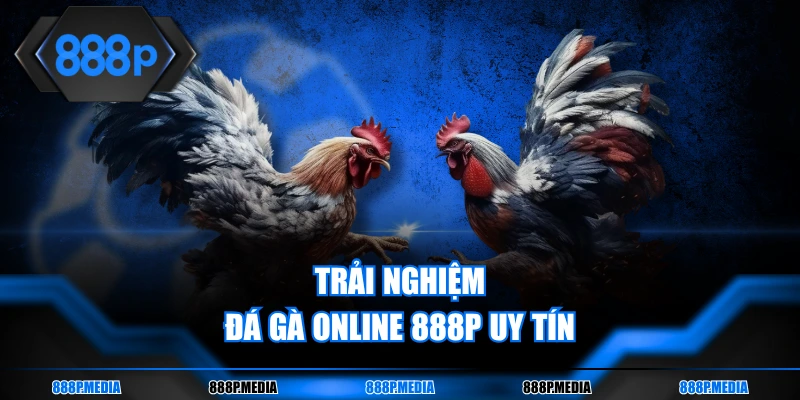 Trải nghiệm đá gà online 888P uy tín